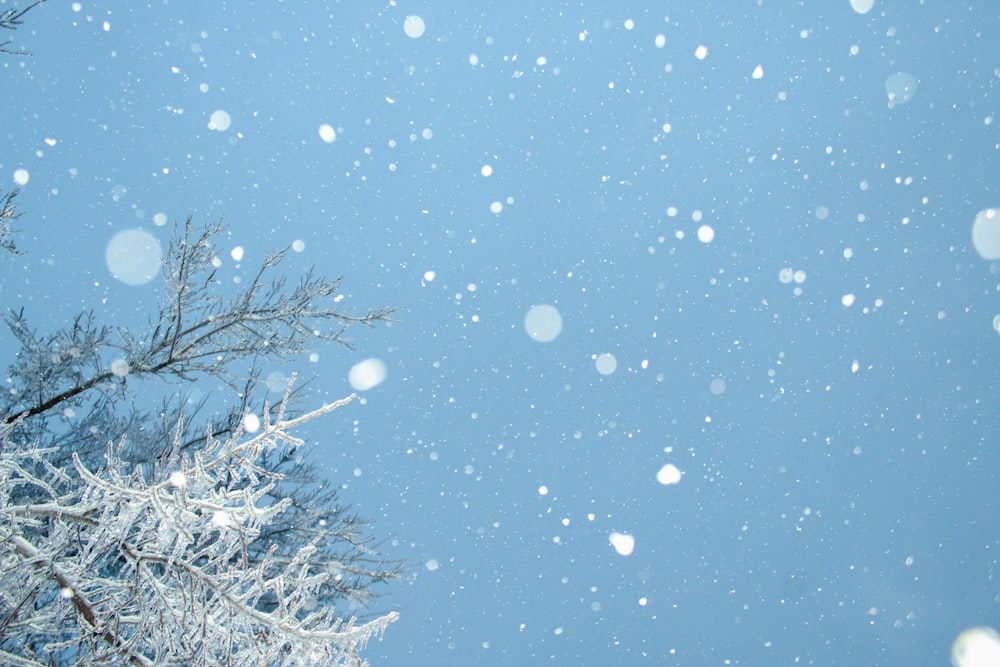 Commercial Snow Removal in Sherwood Park